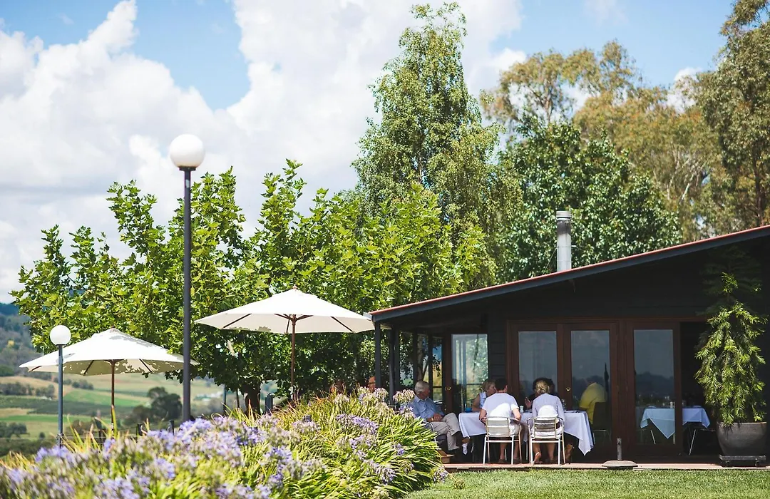 Borrodell Vineyard-1