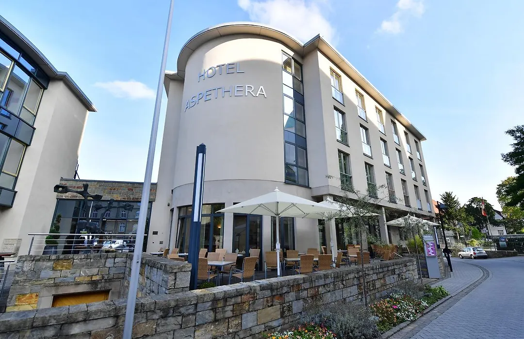Hotel Aspethera-1