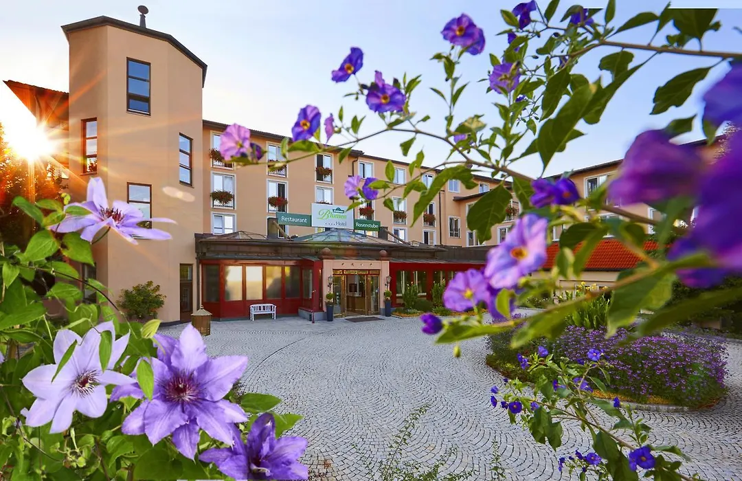 Dehner Blumen Hotel-1