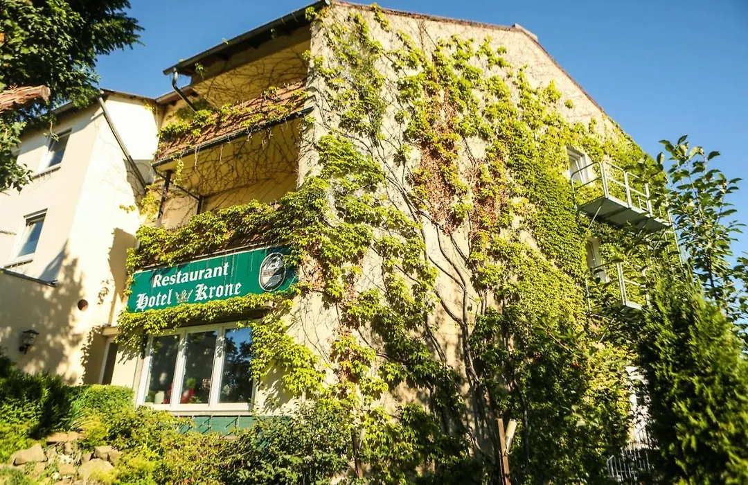 Hotel Krone-1