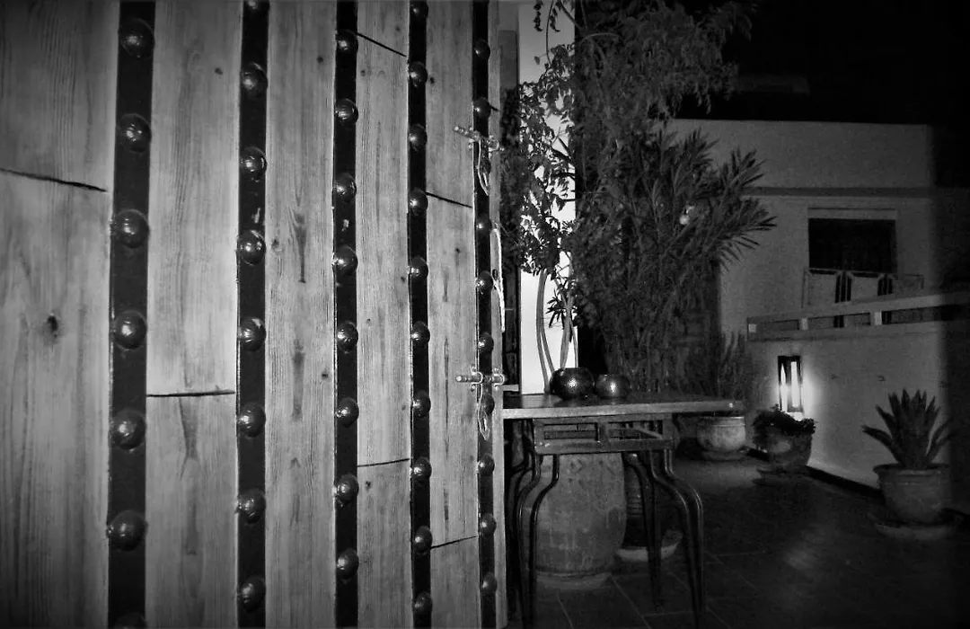 Riad Safina-1