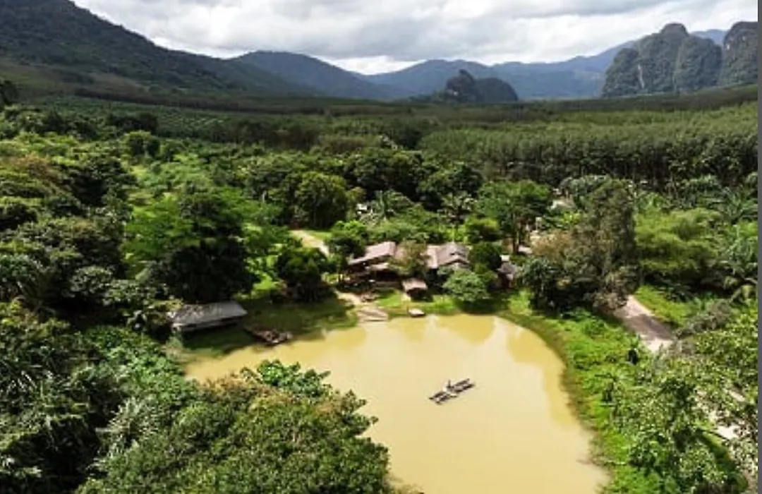 Khao Sok Homestay Resort-1