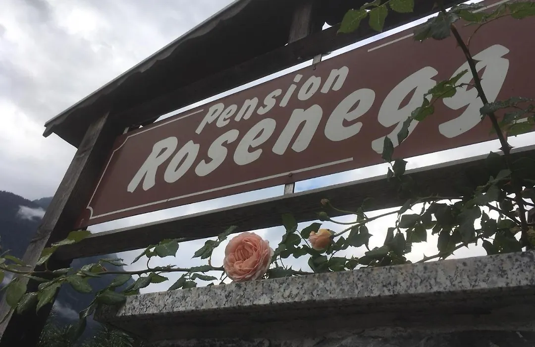 Pension Rosenegg-1
