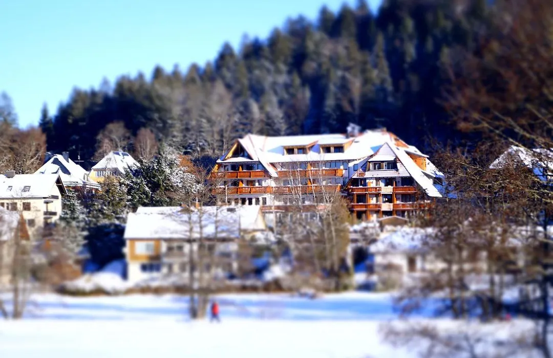 Erfurths Bergfried Ferien & Wellnesshotel-1