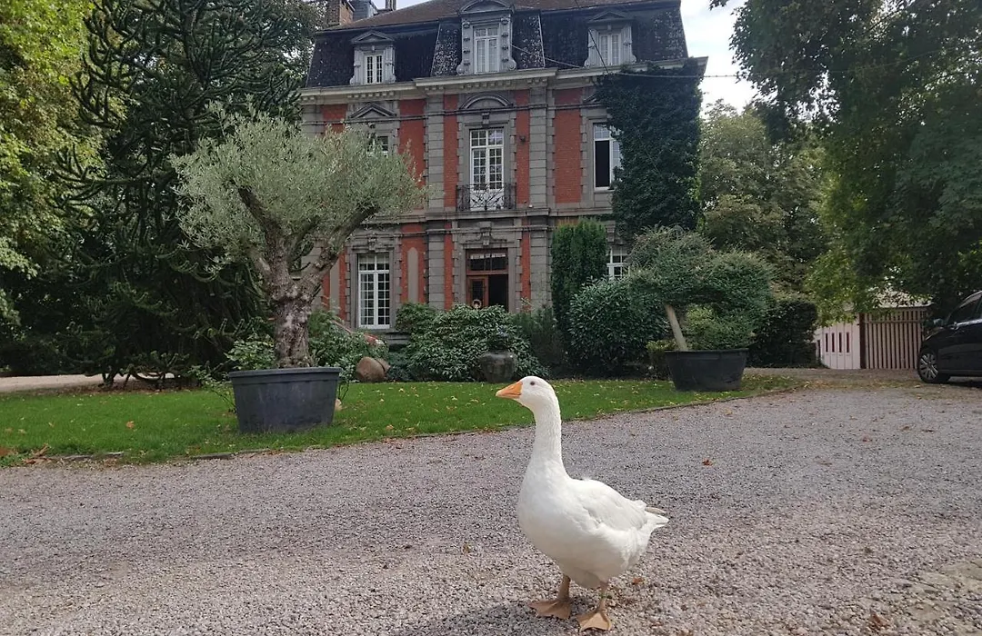 Château Lambert Hotel-Resto-Parking-Shuttle, a 1 ha green Oasis at 8 min from CRL Airport without any noise-1