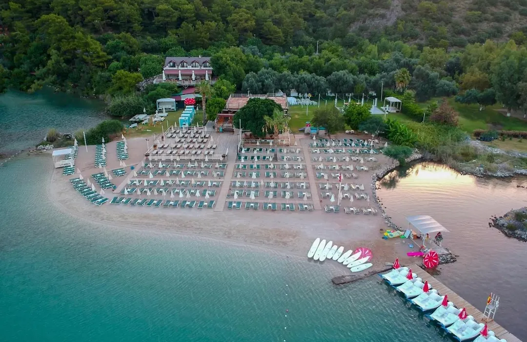 S3 Seahorse Beach Club-1
