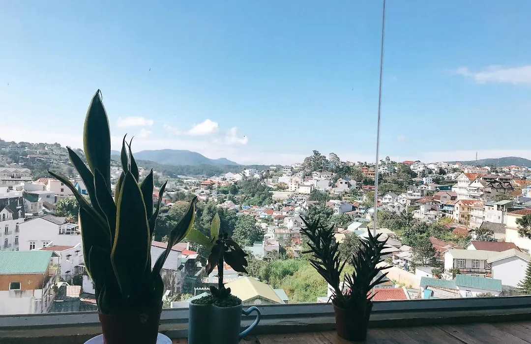 Golden Sun Hotel - Dalat-1