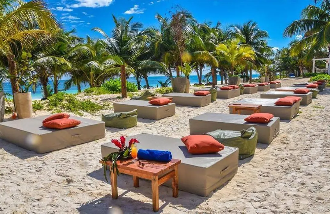 Mia Tulum Beachfront Resort - Ocean View Suites And Beach Club-1