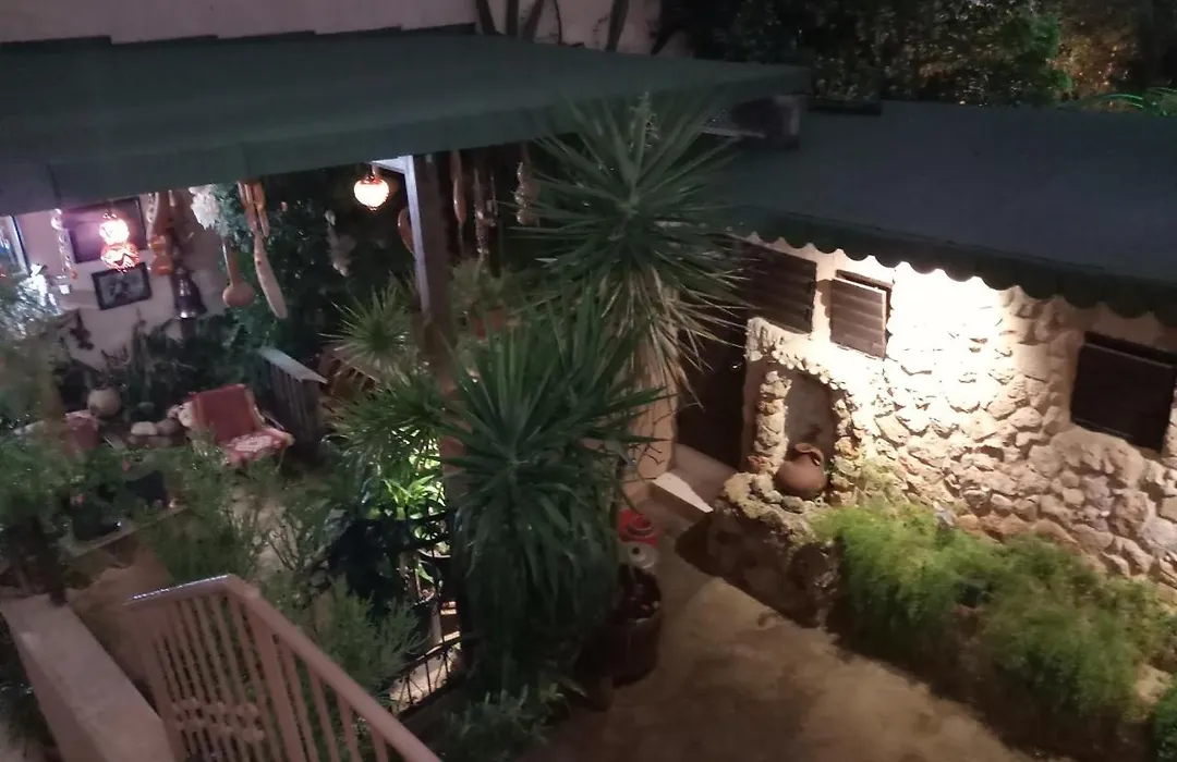Mystery Garden Guest House-1