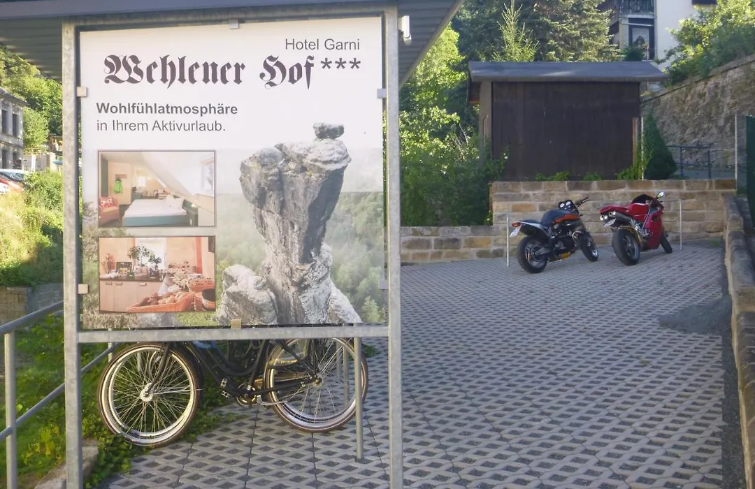 Hotel Wehlener Hof-1