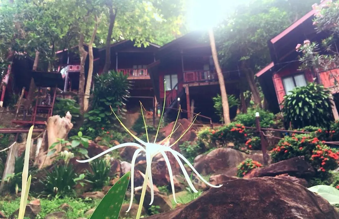 Phi Phi Green Hill Resort-1