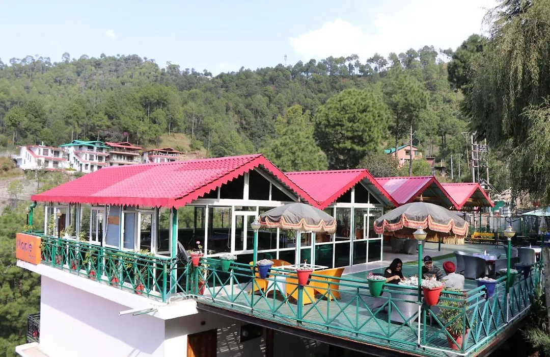 Maple Resort Chail-1