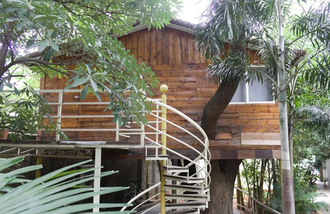 Mrugavani Resort & Spa-1