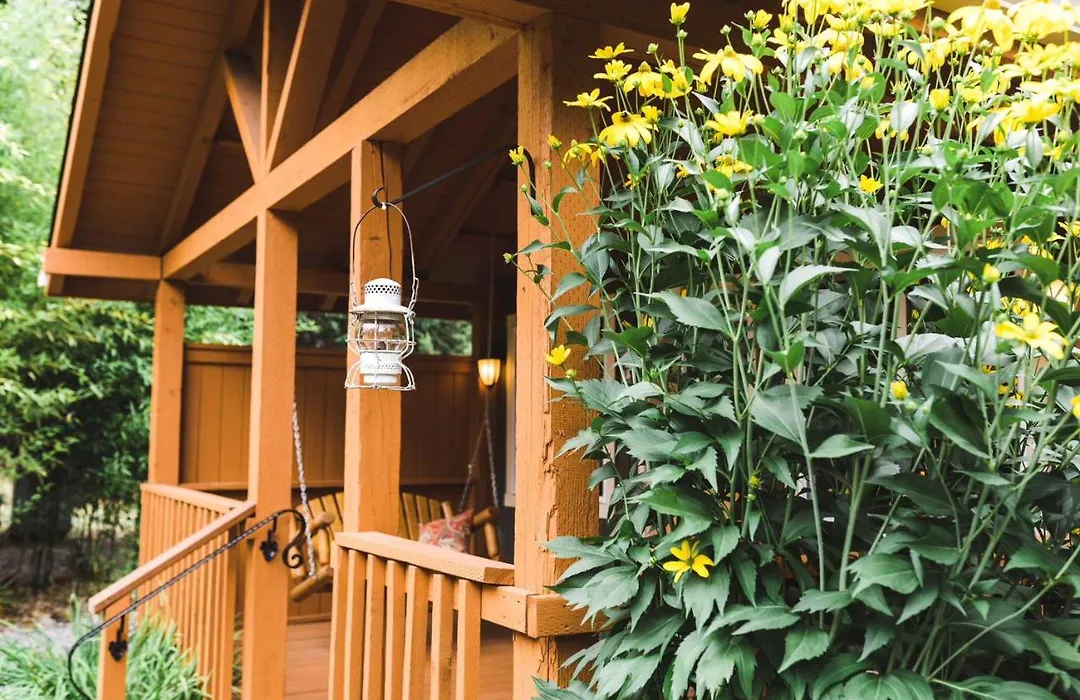 Carson Ridge Luxury Cabins-1