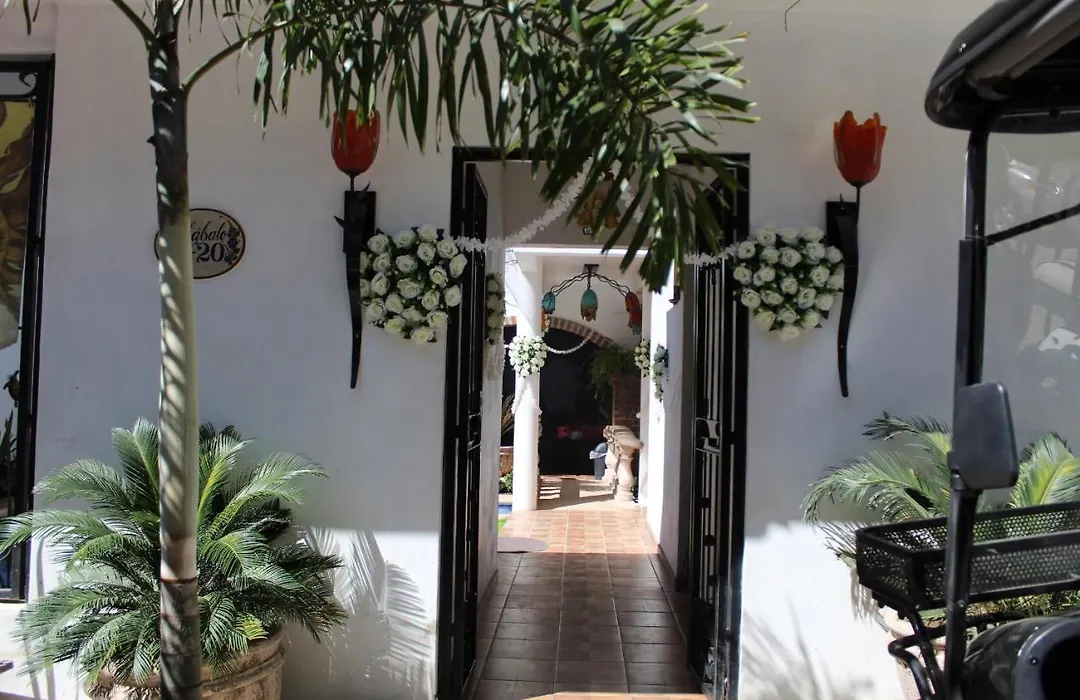 Villas Amalia Hotel-1