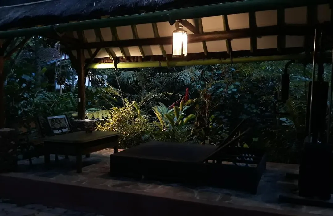 Mi Casa - The Gem Of Ijen-1