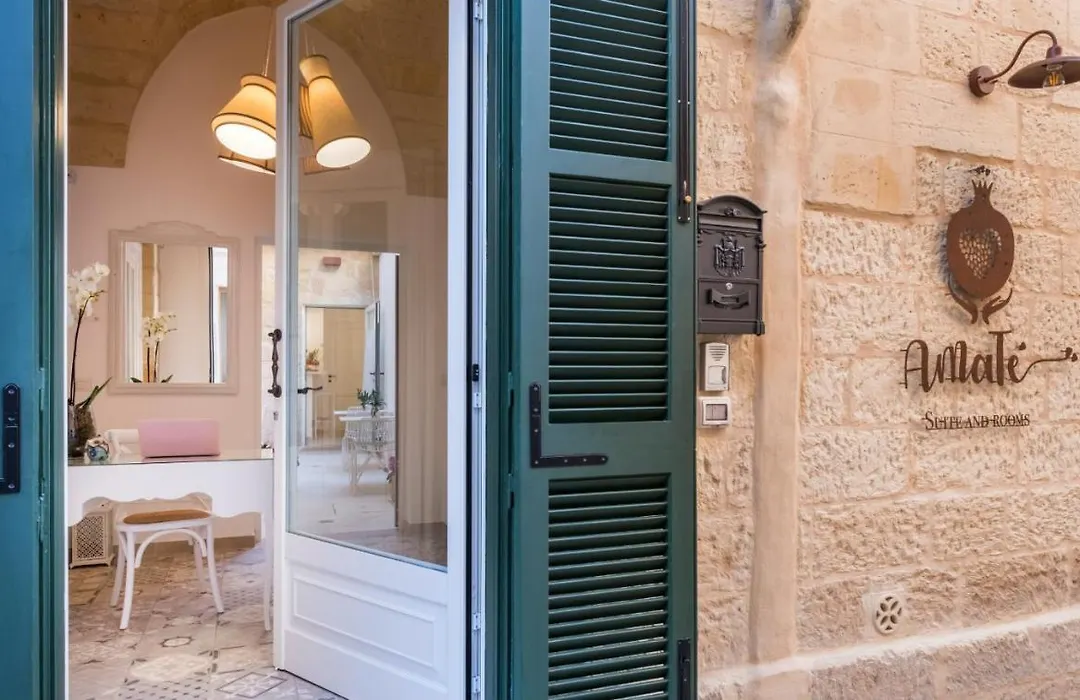 Amate Suite-1