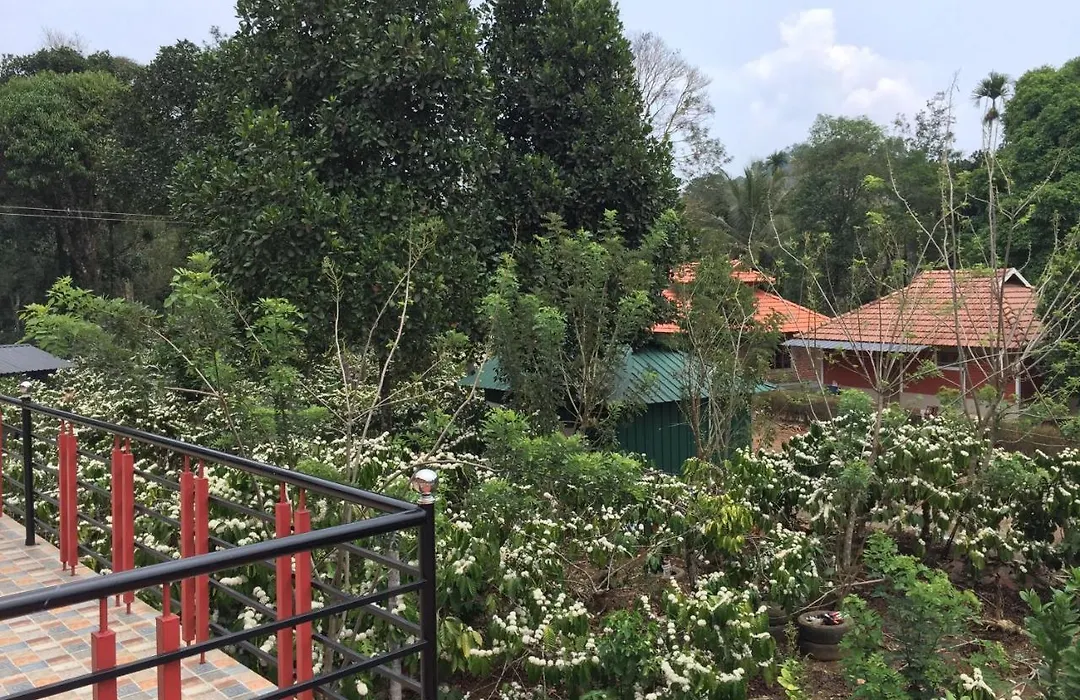 Marsim Holiday Resort-1