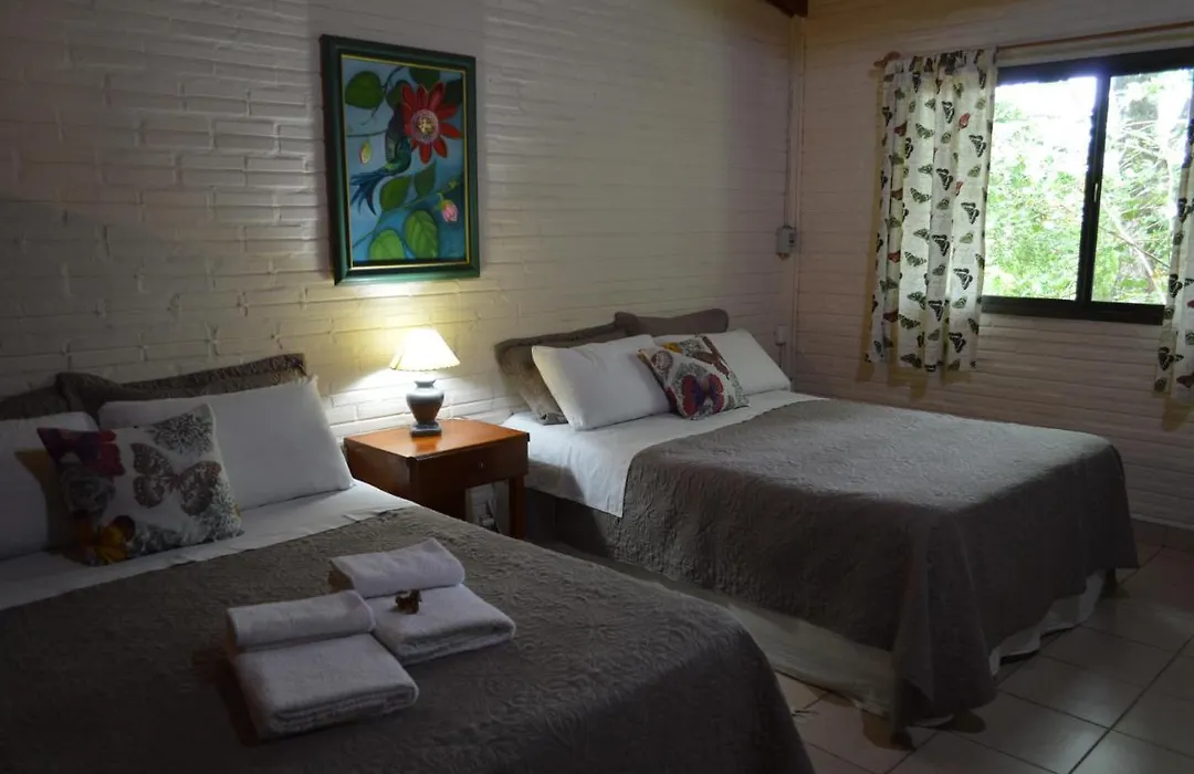 Oasis Bed And Breakfast-1