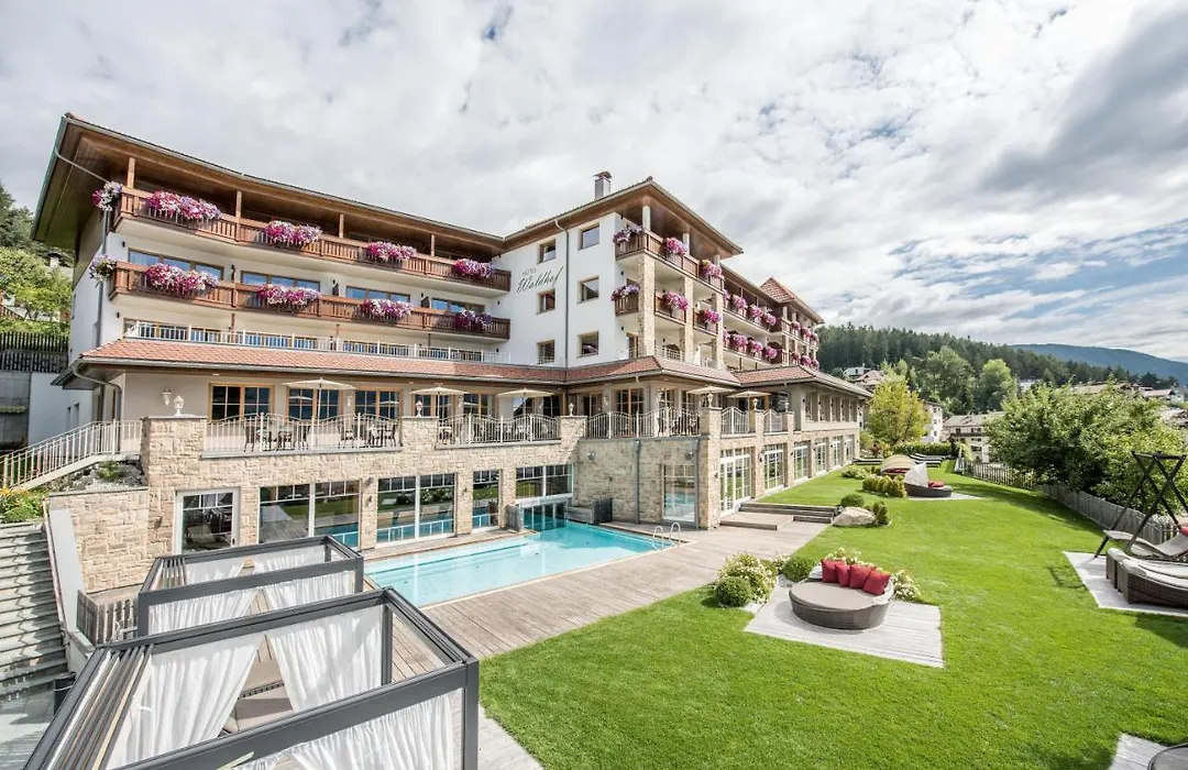 Hotel Waldhof-1