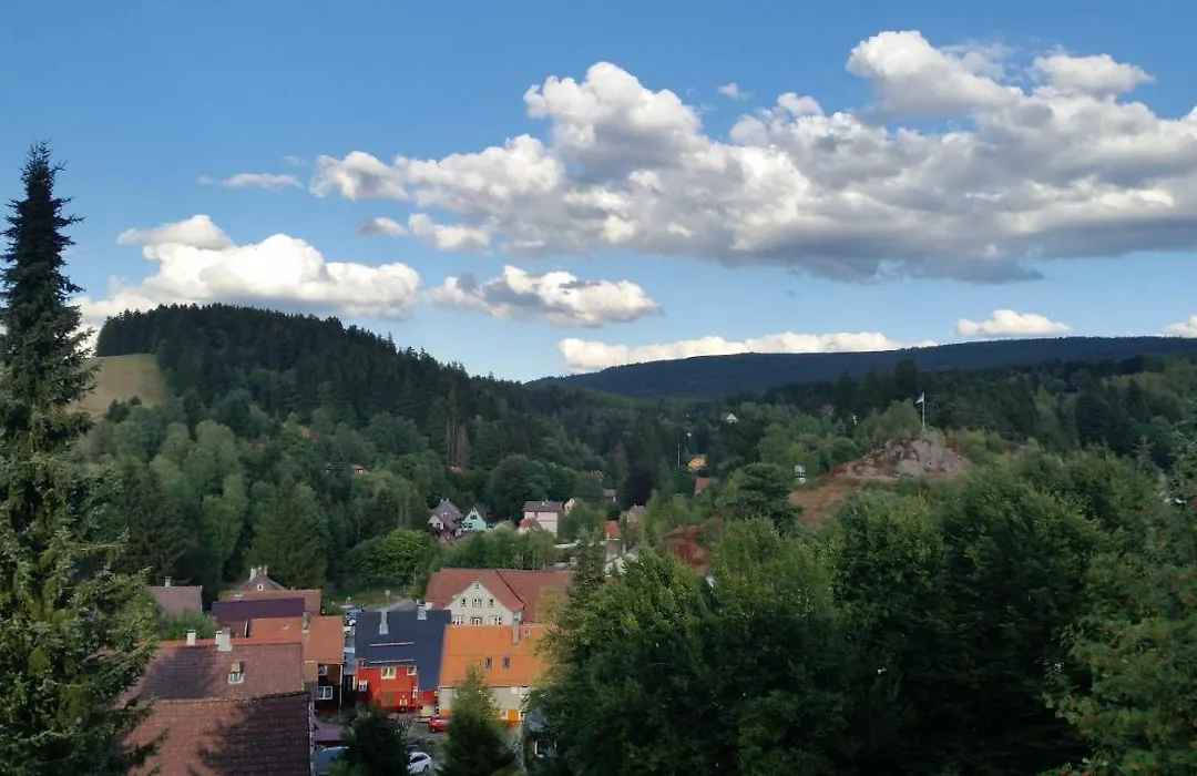 Pension Haus Petra-1