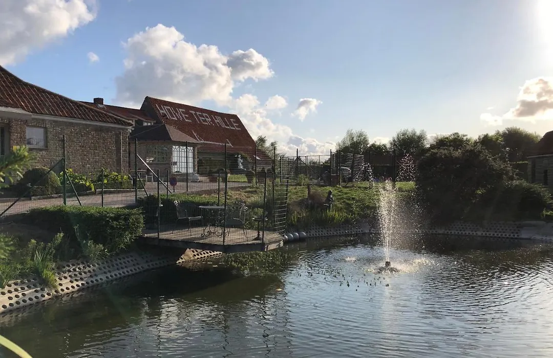 Hove Ter Hille-1