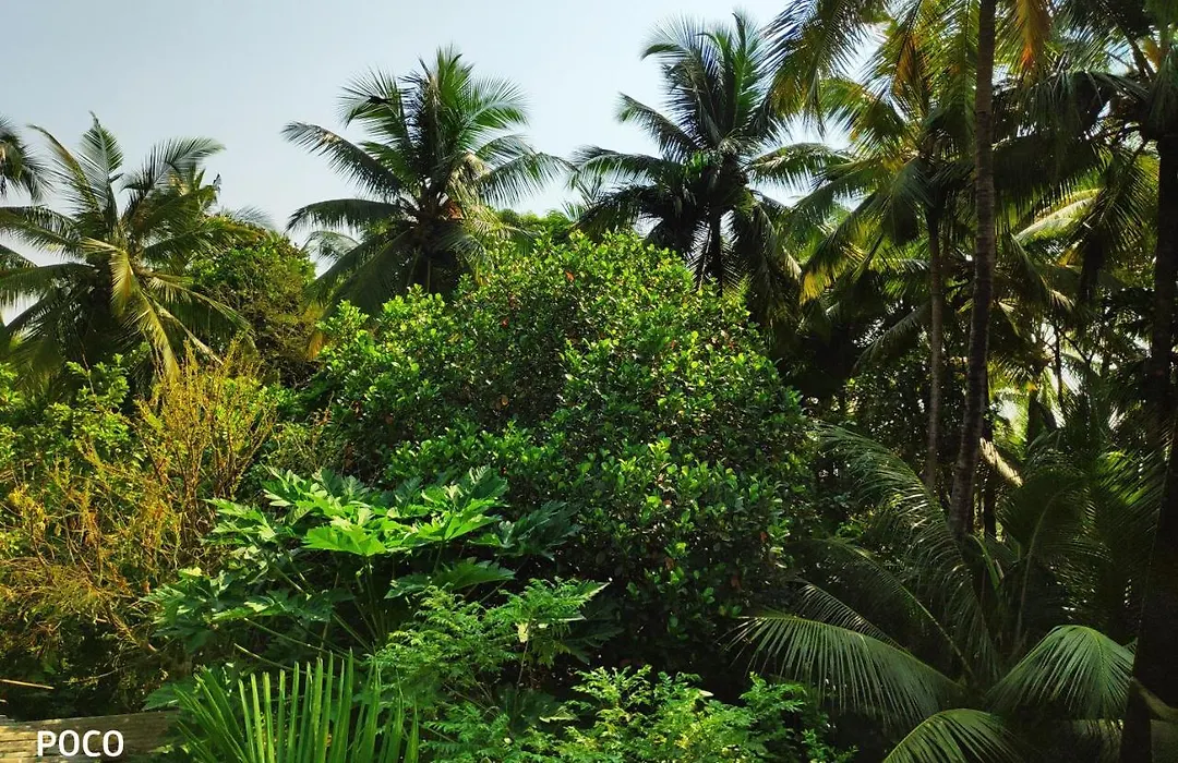 Swapnapurti Holiday Home-1