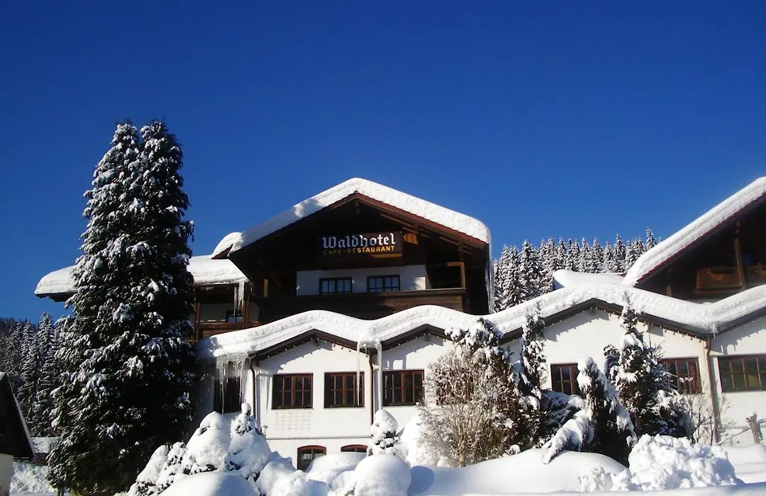 Waldhotel Seebachschleife-1