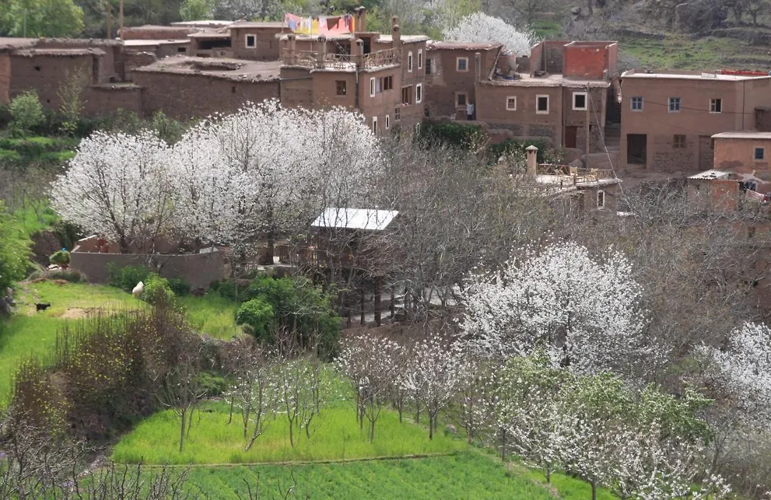Douar Samra-1