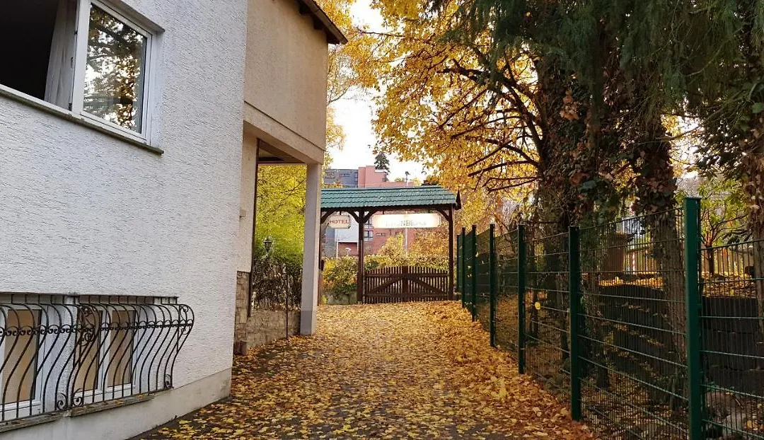 Hotel Kronberg-1