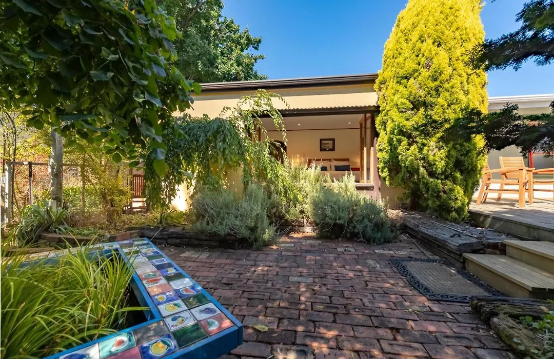 Shy Cottage And Studio-1