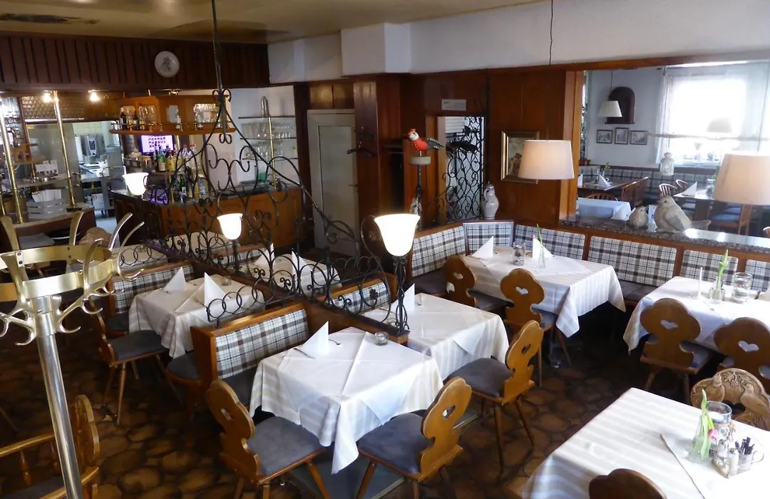 Hotel Ulmer Spatz-1