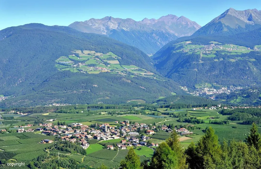 Gasthof Anich-1