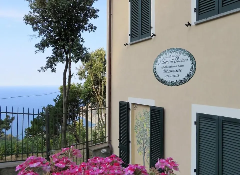 I Lecci Di Soviore-1