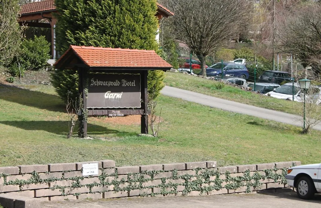 Schwarzwaldhotel / Wolfach-1