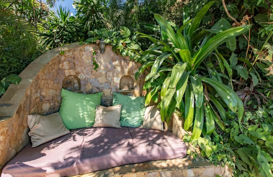Villa Mango B&B-1