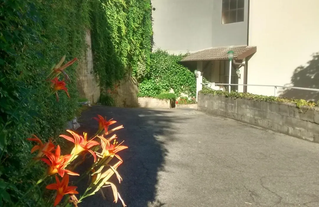 Hotel Glavjc-1