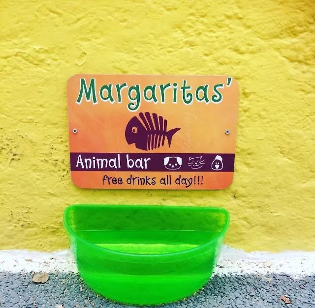 Viva Margarita-1