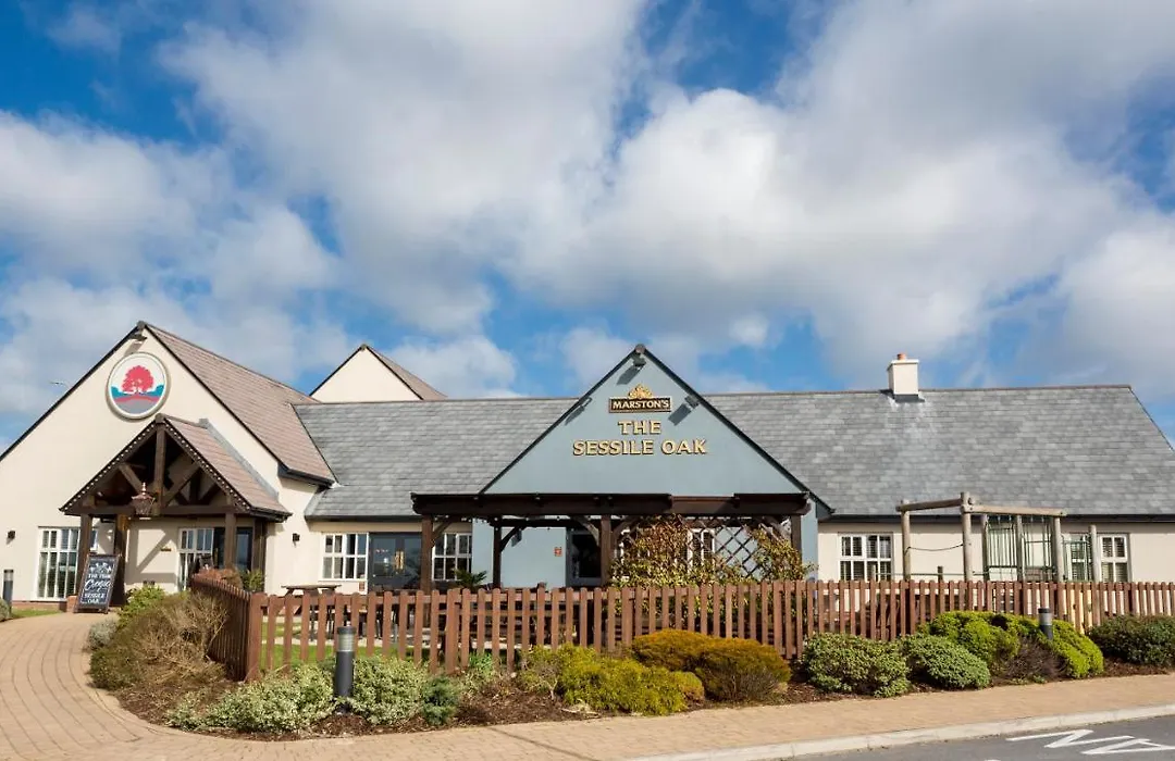 Sessile Oak, Llanelli By Marston'S Inns-1