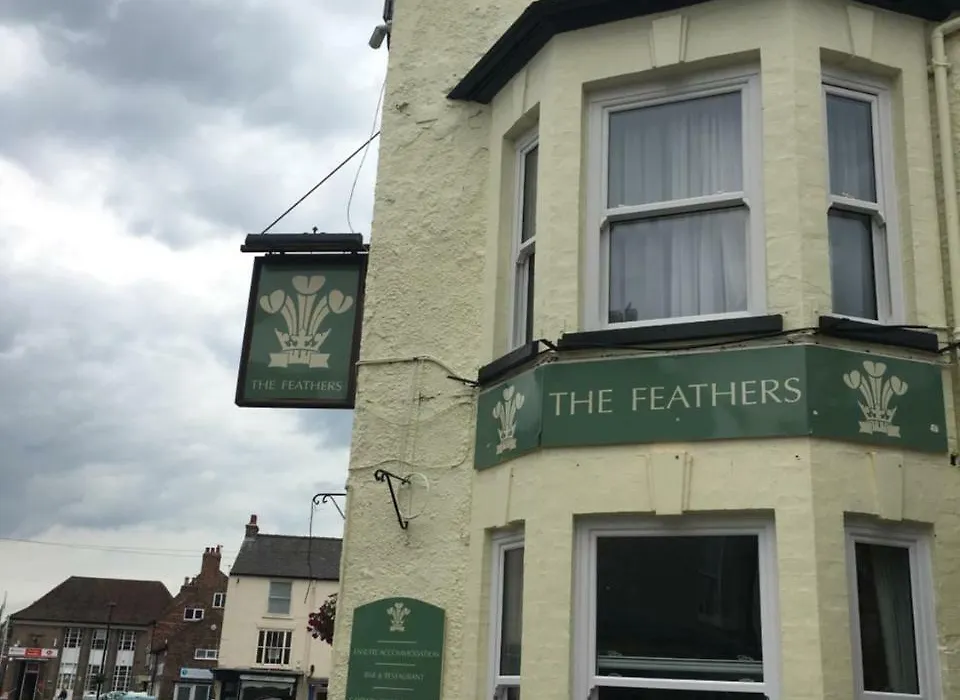 The Feathers-1