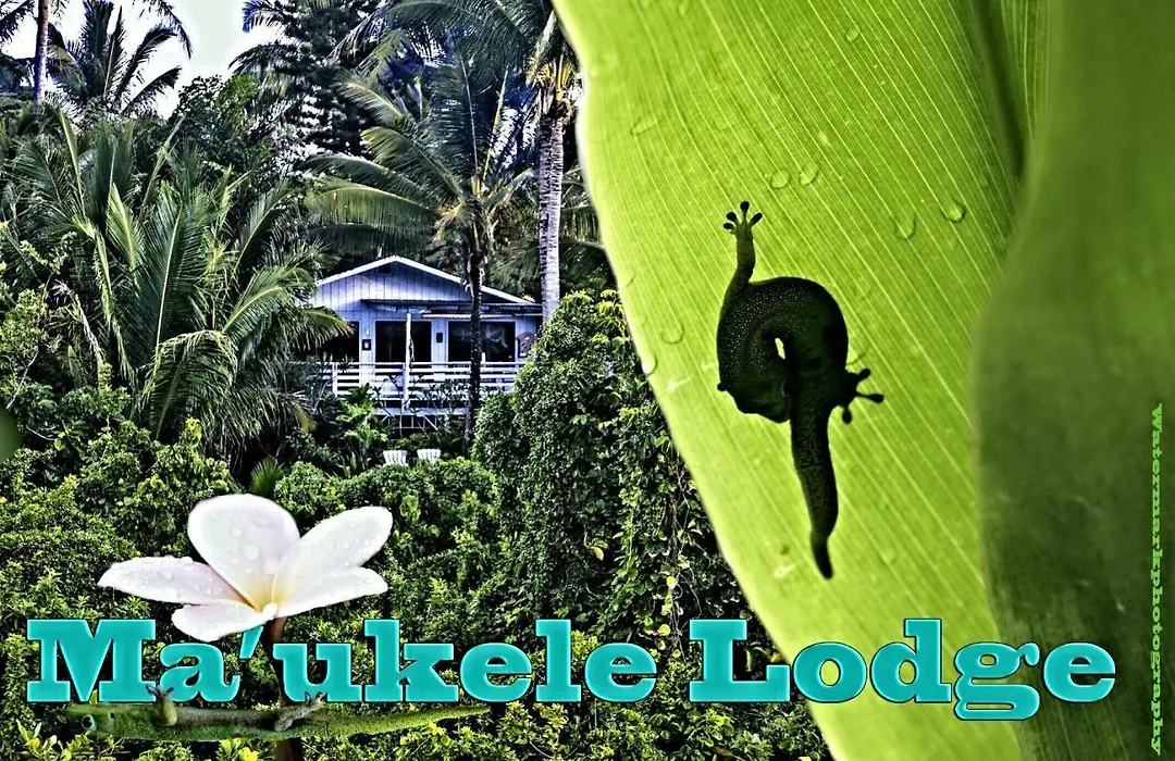 Ma'Ukele Lodge-1
