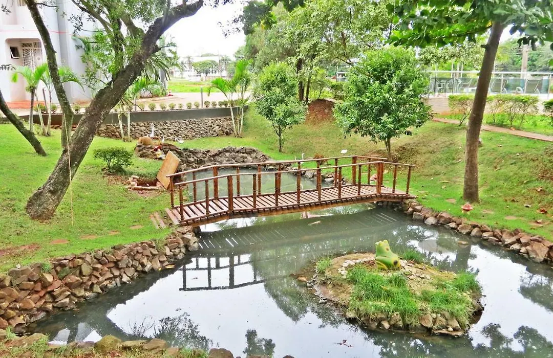Stella Solaris Cataratas-1