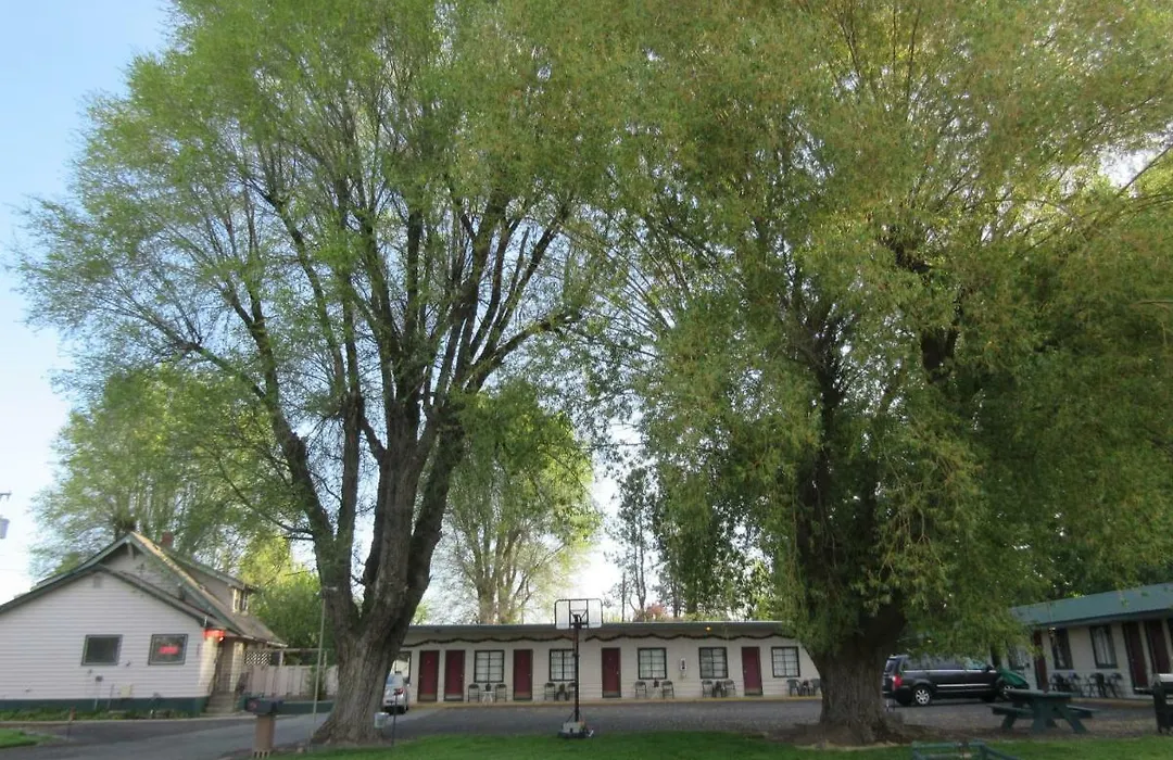The Willows Motel-1