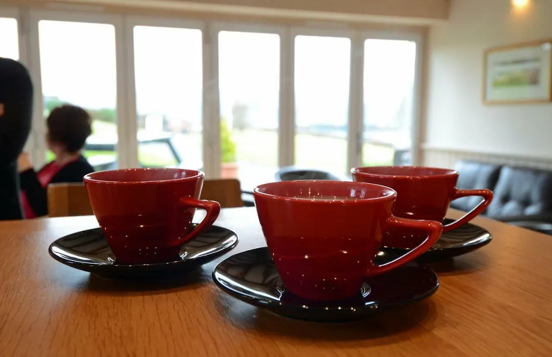 Neuadd Henllan Lodge-1