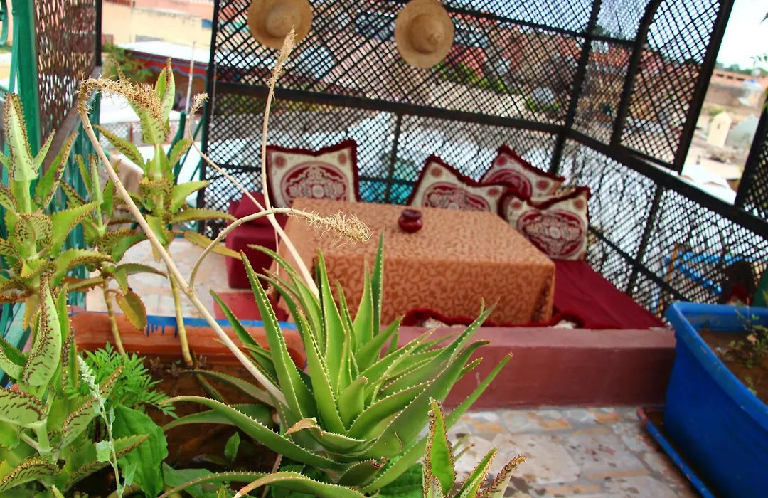 Riad Bibtia-1