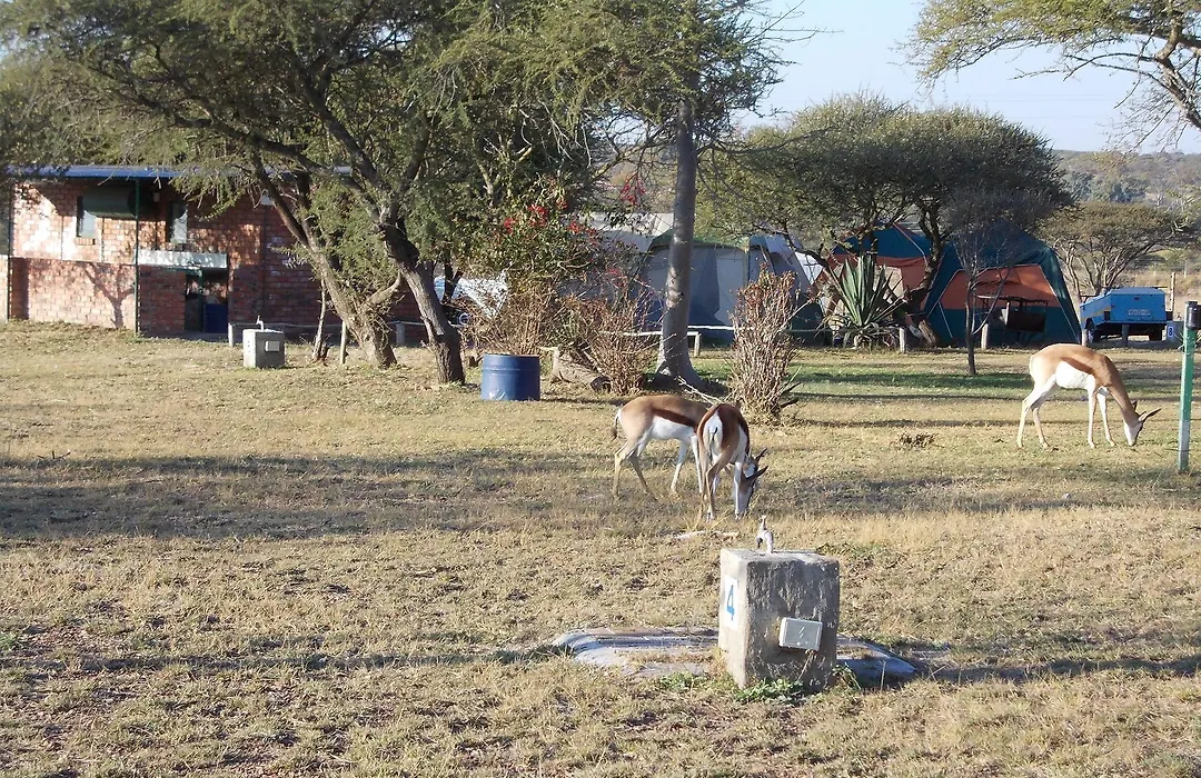Limpopo Lodge-1