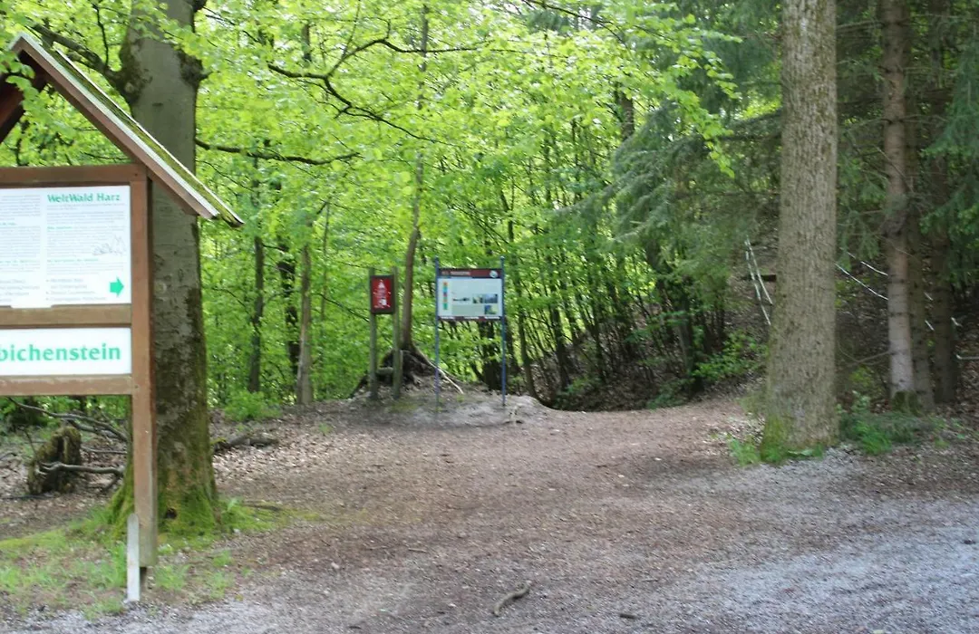 Hotel-Pension Waldhaus-1