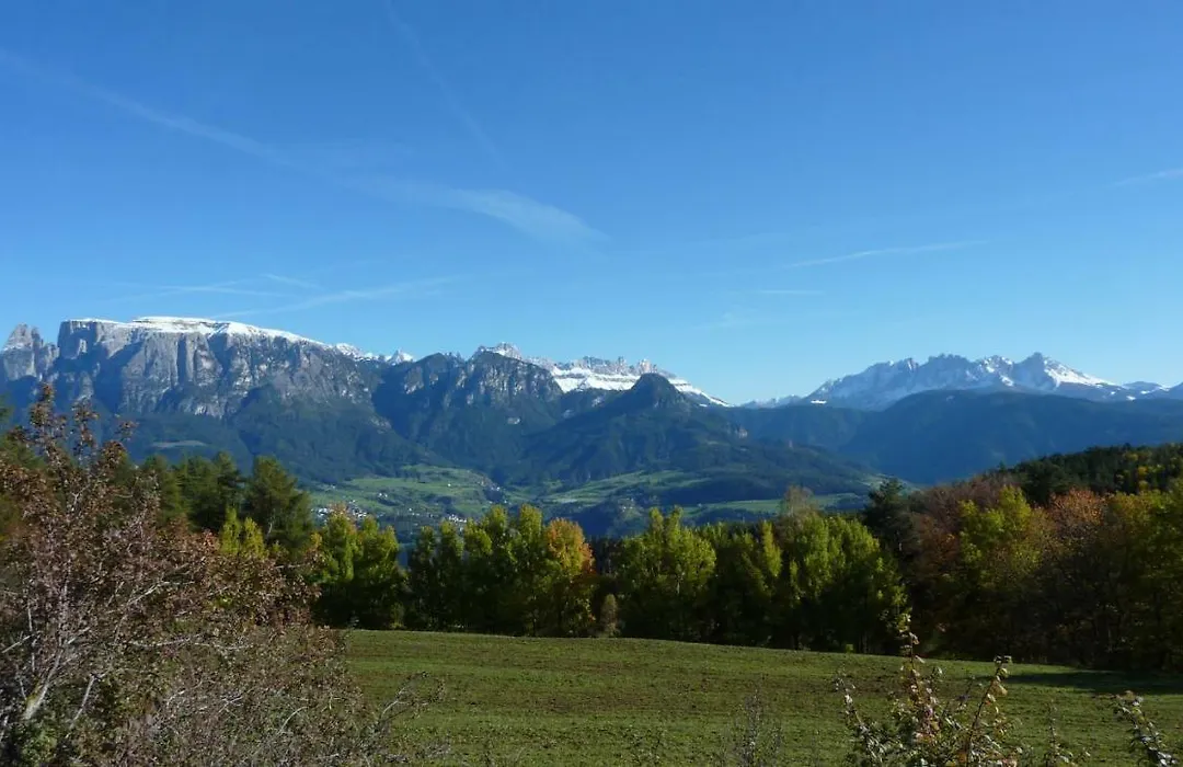 Hotel Dolomitenblick-1