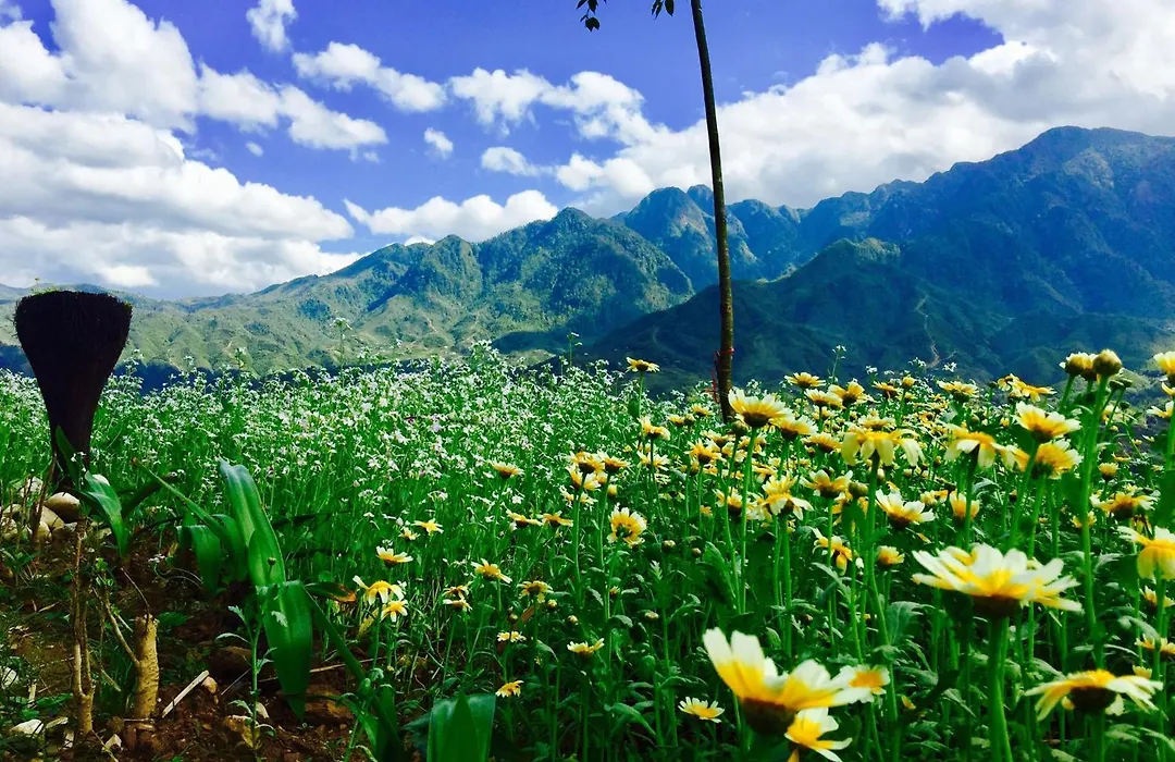 Sapa Clay House - Mountain Retreat-1