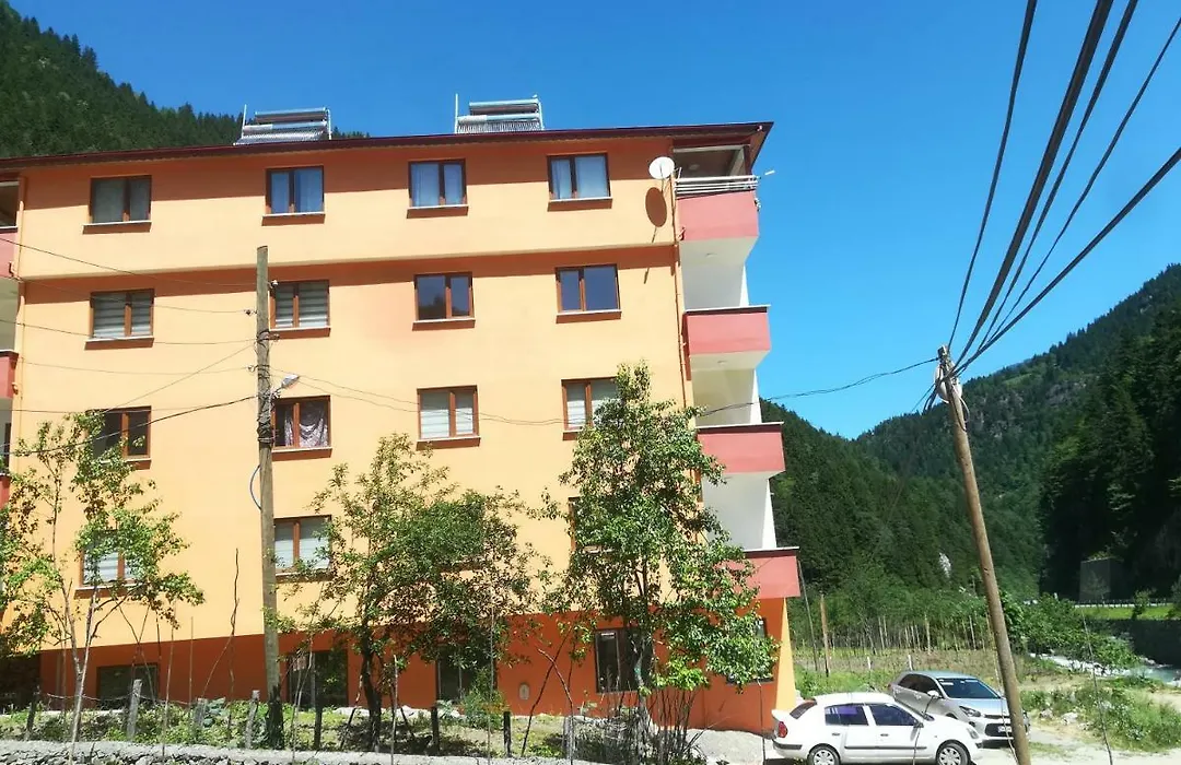 Oezen Golden Apart-1